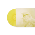 VOL 1: A New Dawn