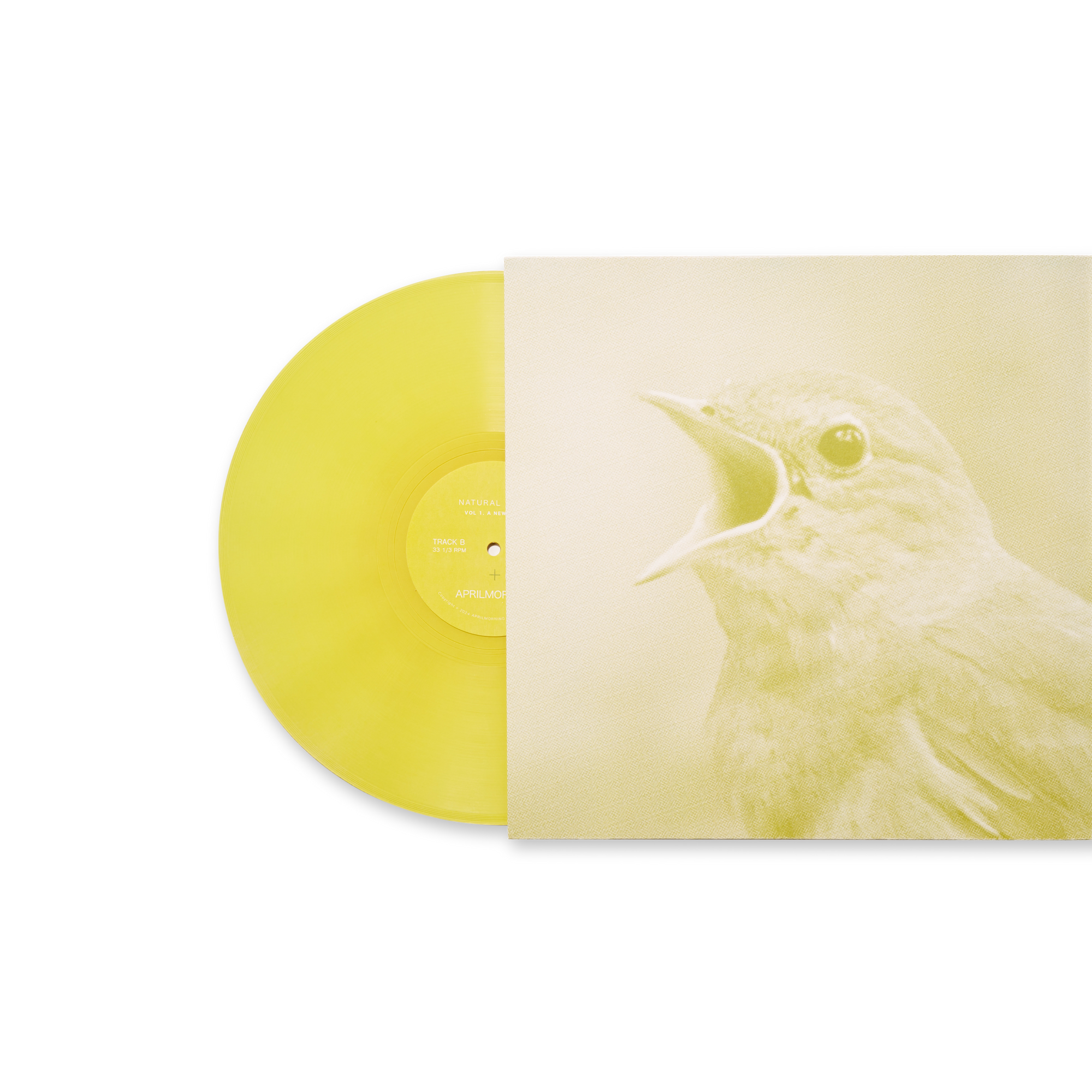 VOL 1: A New Dawn