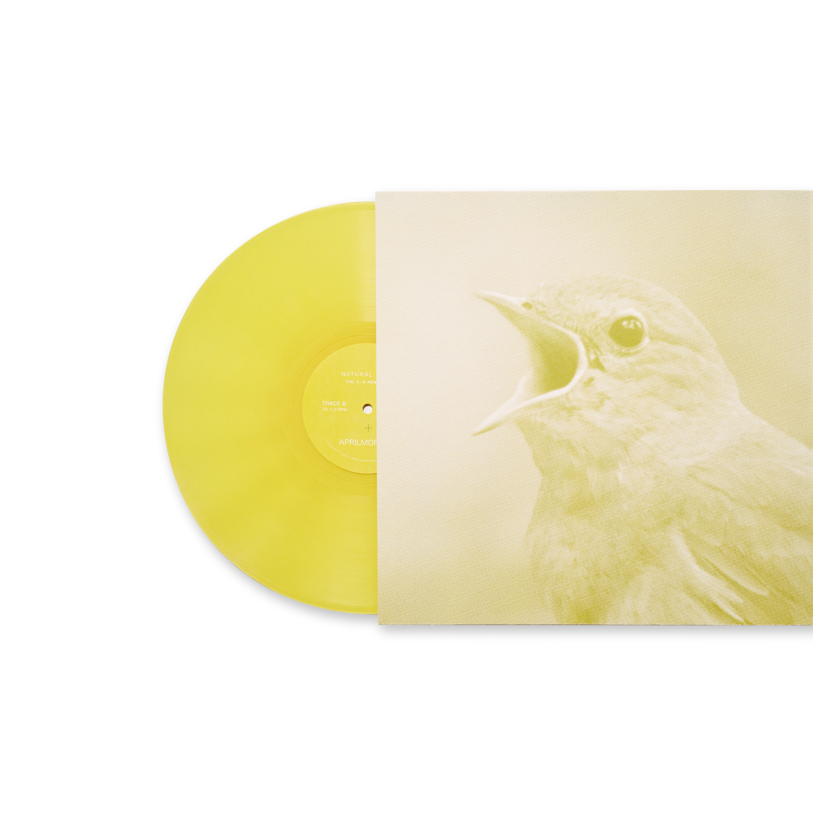 VOL 1: A New Dawn
