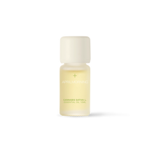 Cannabis Sativa L. Essential Oil 10ml