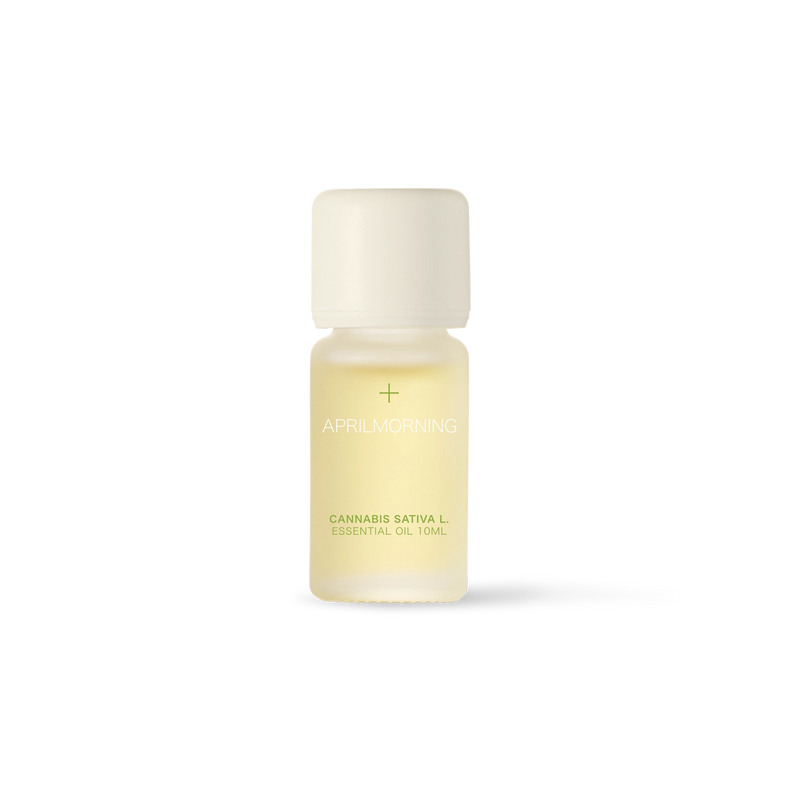 Cannabis Sativa L. Essential Oil 10ml